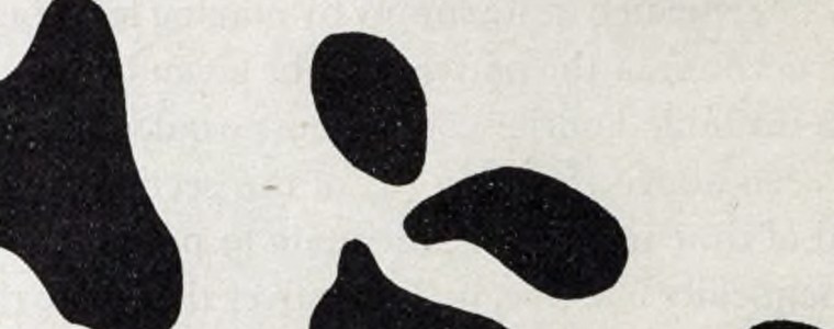 Dappled picture of spots looking like a Fresian cow taken from Chemical Basis of Morphogenesis